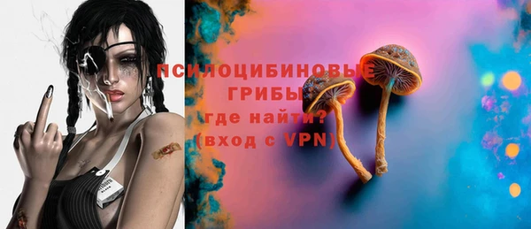 apvp Алзамай