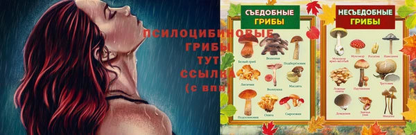 apvp Алзамай